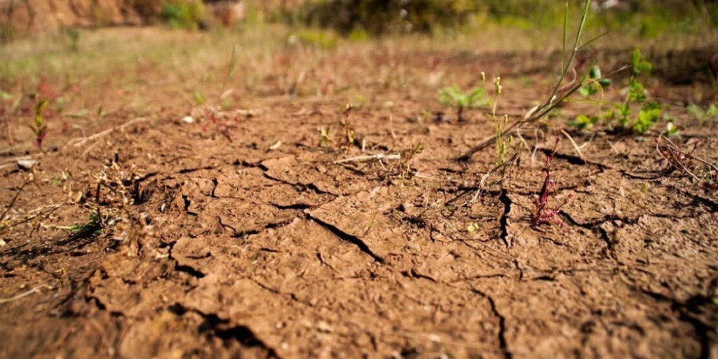 Consejos prácticos a la hora de elegir un terreno para habitar